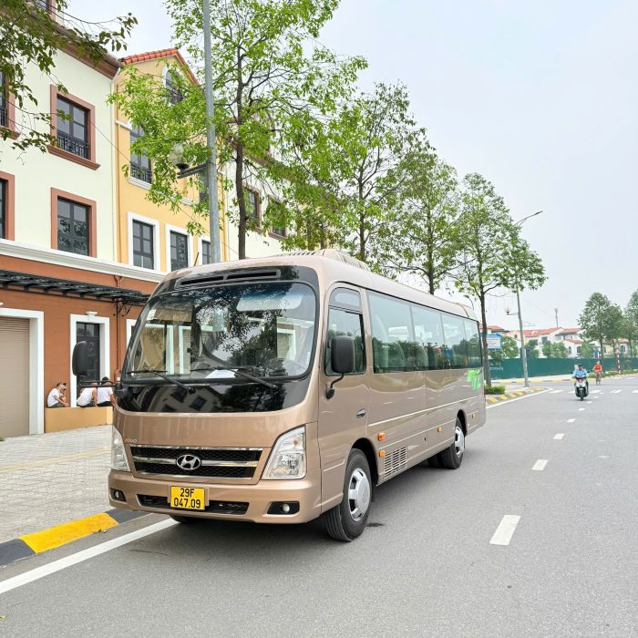 Cho thuê xe 29 chỗ